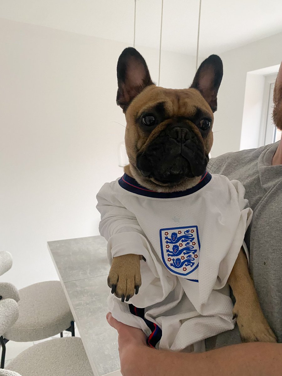 Tom Robinson tweet media