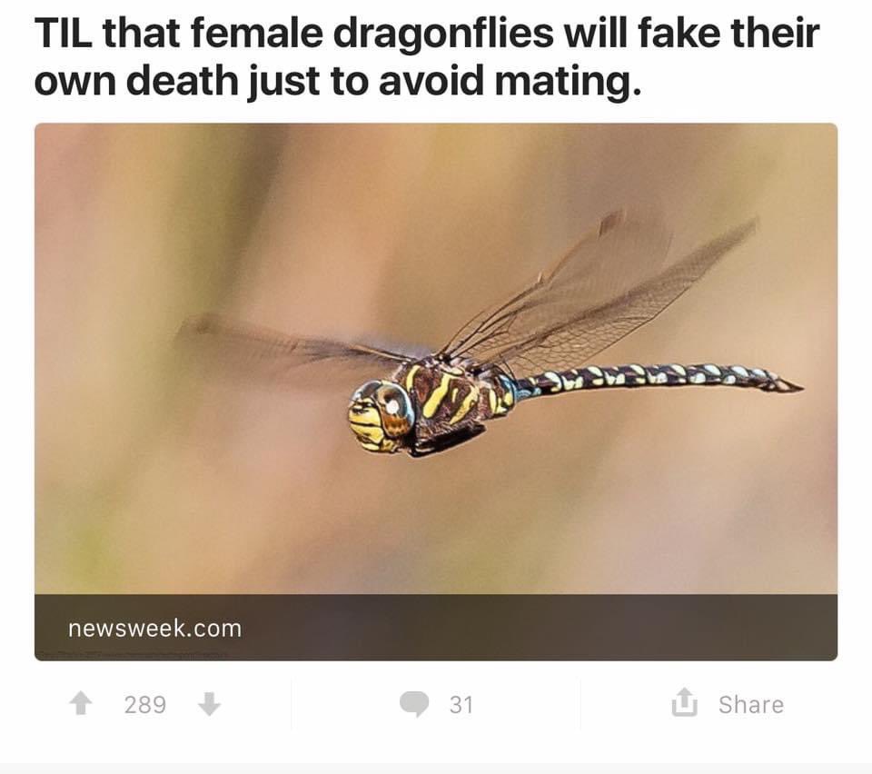 Same tbh  ¯\_(ツ)_/¯