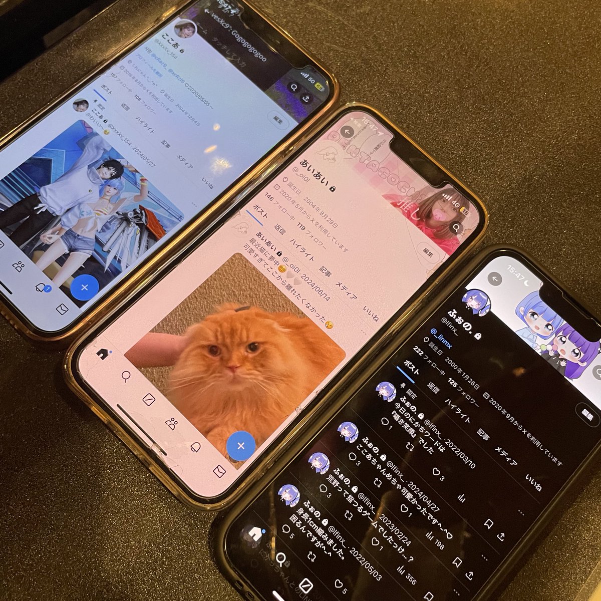 にかち tweet media
