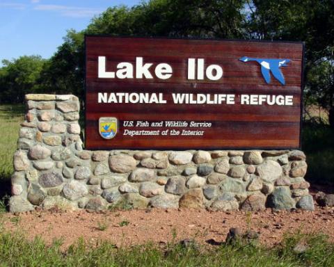NeonNinja247312's tweet photo. Top salary job in Killdeer, ND $75000 - 113000 per year
https://t.co/EOqL8twt3A
#jobs #hiring #ApplyNow #jobsearch #jobseakers #хтивийпонеділок #sexymonday #iPhone16 #Trump2024 #Killdeer #TrumpCriminal #trumparrest #DakotaJohnson #North_Gaza_is_starving https://t.co/8ZfBGoWX4w