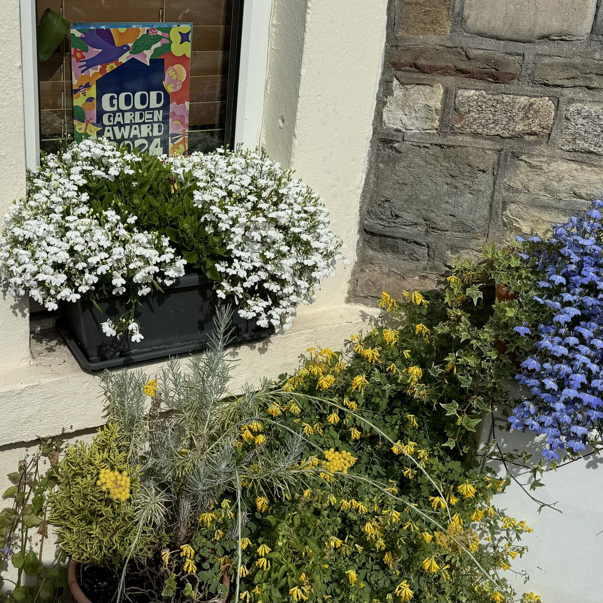 GB Front Garden Comp tweet media