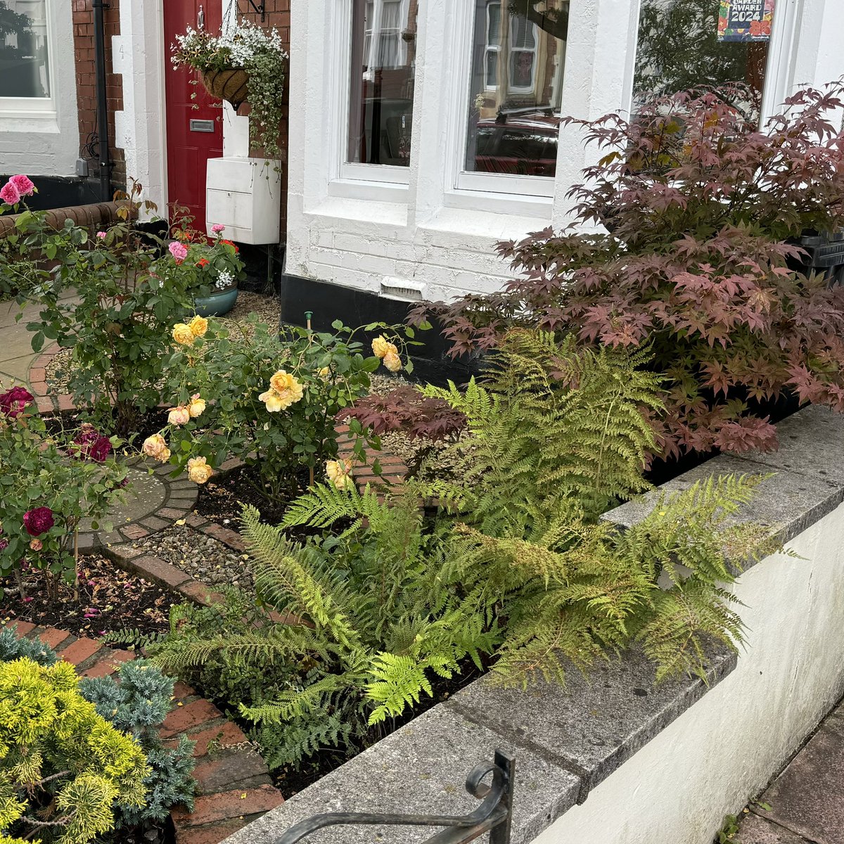 It's lovely seeing so many Good Front Garden Awards proudly displayed - well done to all who received one. Judging officially finishes today but if you or your street have been missed, please get in touch email bloomingbedminster@outlook.com