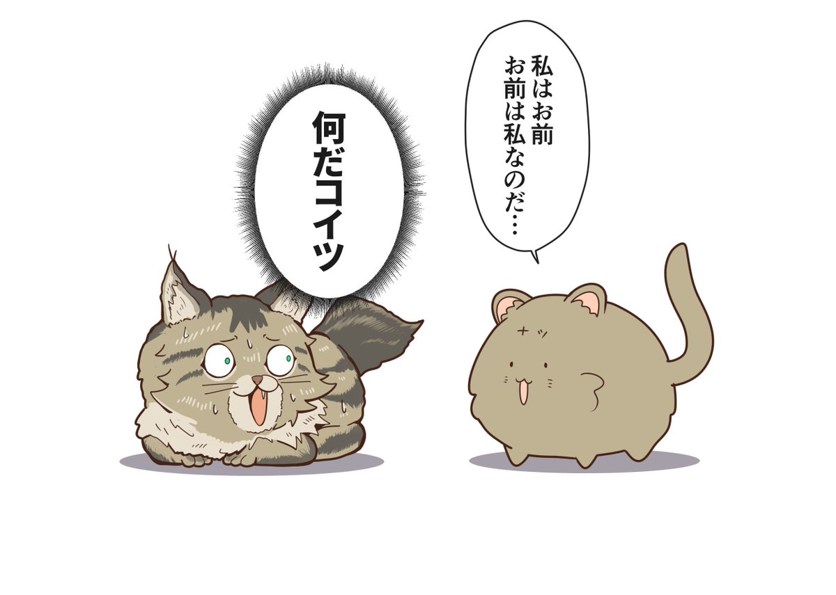 ナツコミの新刊裏表紙これ 