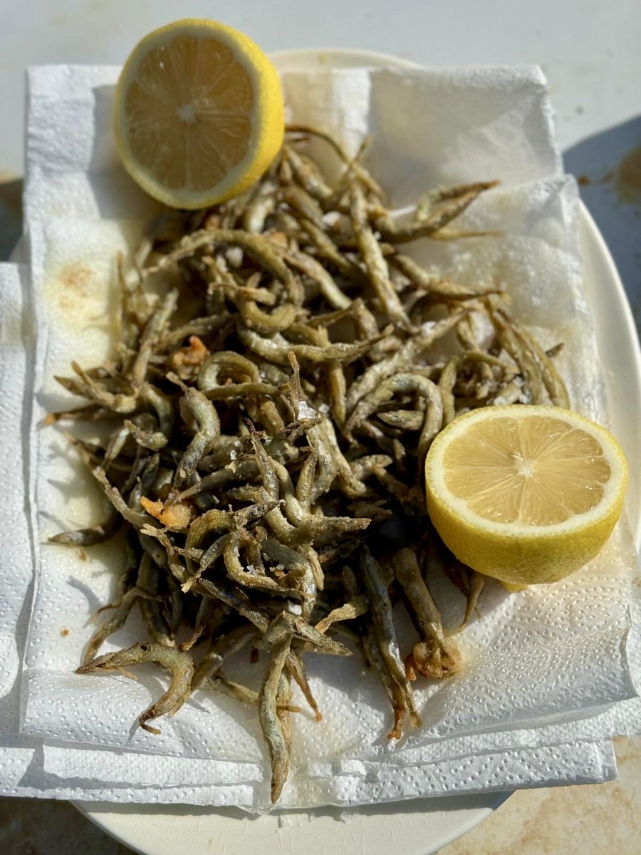 HughRaven's tweet photo. When the sandeels swarm onto the beach on the #SoundofMull do you
a) return them one by one to the water
b) leave them to the feeding-frenzied gulls
c) take some home, rinse thoroughly, flour and fry?
#DilemmasOfADegradedEcosystem https://t.co/jGzKsFNc9X