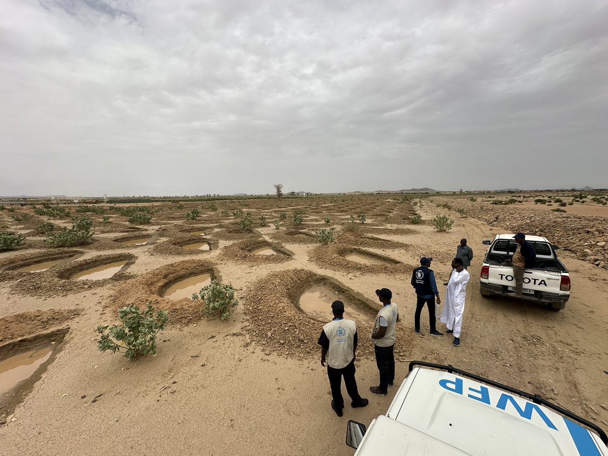 AchahbounAsma's tweet photo. Tabarka, près d’Abeche, le site de résilience montre des résultats positifs notamment grâce aux demi-lunes qui permettent de récupérer les sols dégradés. Des résultats visibles grâce aux agriculteurs, à l’ONG Al Takhadoum et le soutien du gouvernement et de @WFP_Chad https://t.co/W3C6SbucBb