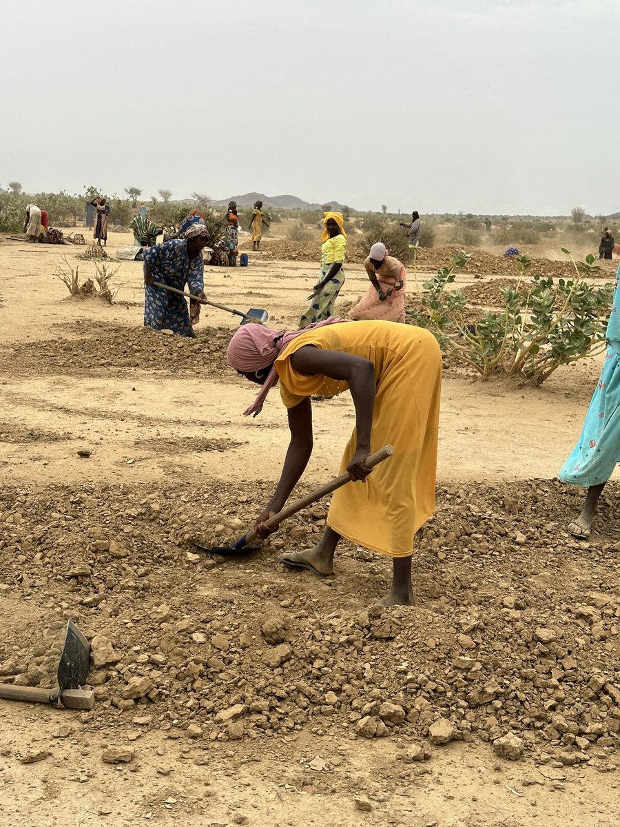 AchahbounAsma's tweet photo. Tabarka, près d’Abeche, le site de résilience montre des résultats positifs notamment grâce aux demi-lunes qui permettent de récupérer les sols dégradés. Des résultats visibles grâce aux agriculteurs, à l’ONG Al Takhadoum et le soutien du gouvernement et de @WFP_Chad https://t.co/W3C6SbucBb