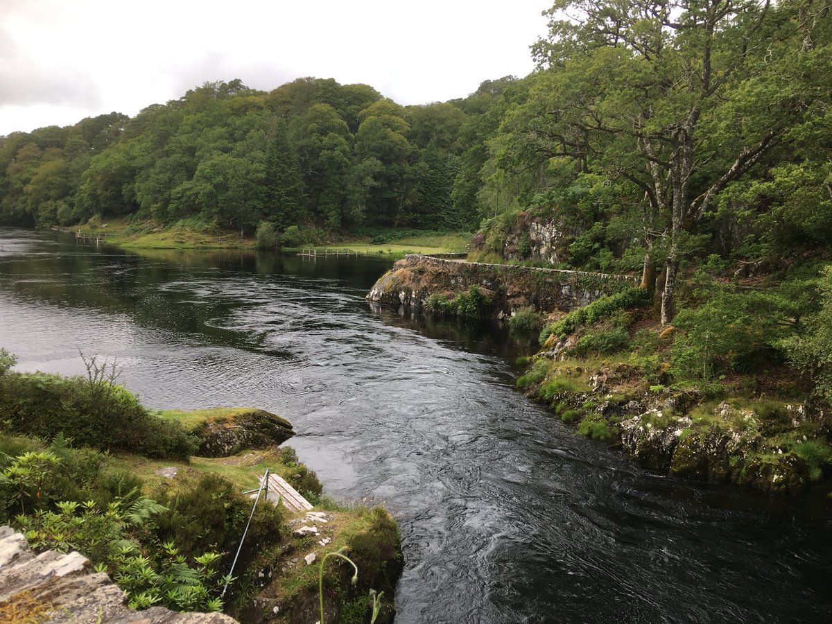 Garrison pool, river Shiel, Scotland.
Have a great day.