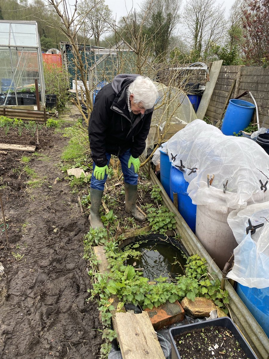 theterrywalton's tweet photo. Creating a small pond area in your garden (use a small dish if you don't have space) encourages frogs, toads & birds - great forms of natural pest control as they eat aphids & slugs, keeping them from crops.
Visit #PestSmart for more natural options: https://t.co/VC7fvZcCzG https://t.co/vxbISOHsgy