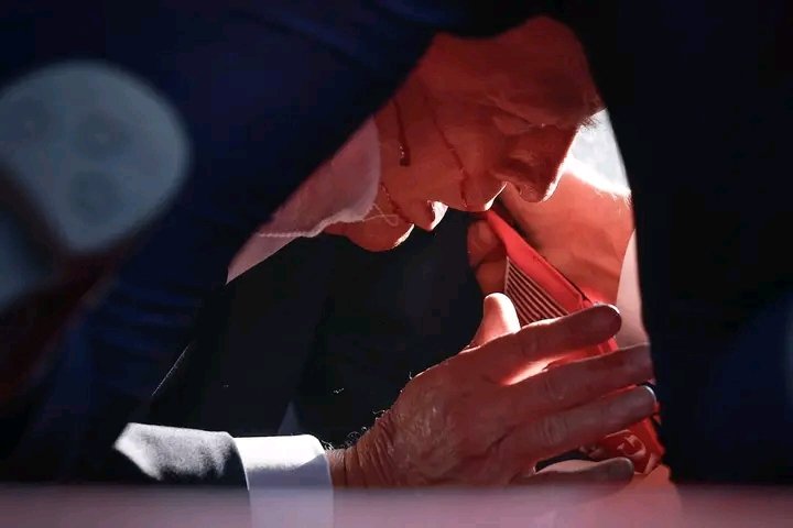 Ottywilliams's tweet photo. The recent assassination attempt on Donald Trump is likely to secure his victory in the upcoming presidential election. With undeniable evidence supporting him, it's only a matter of time before he becomes president.
#Donal https://t.co/qCL2HlomAn