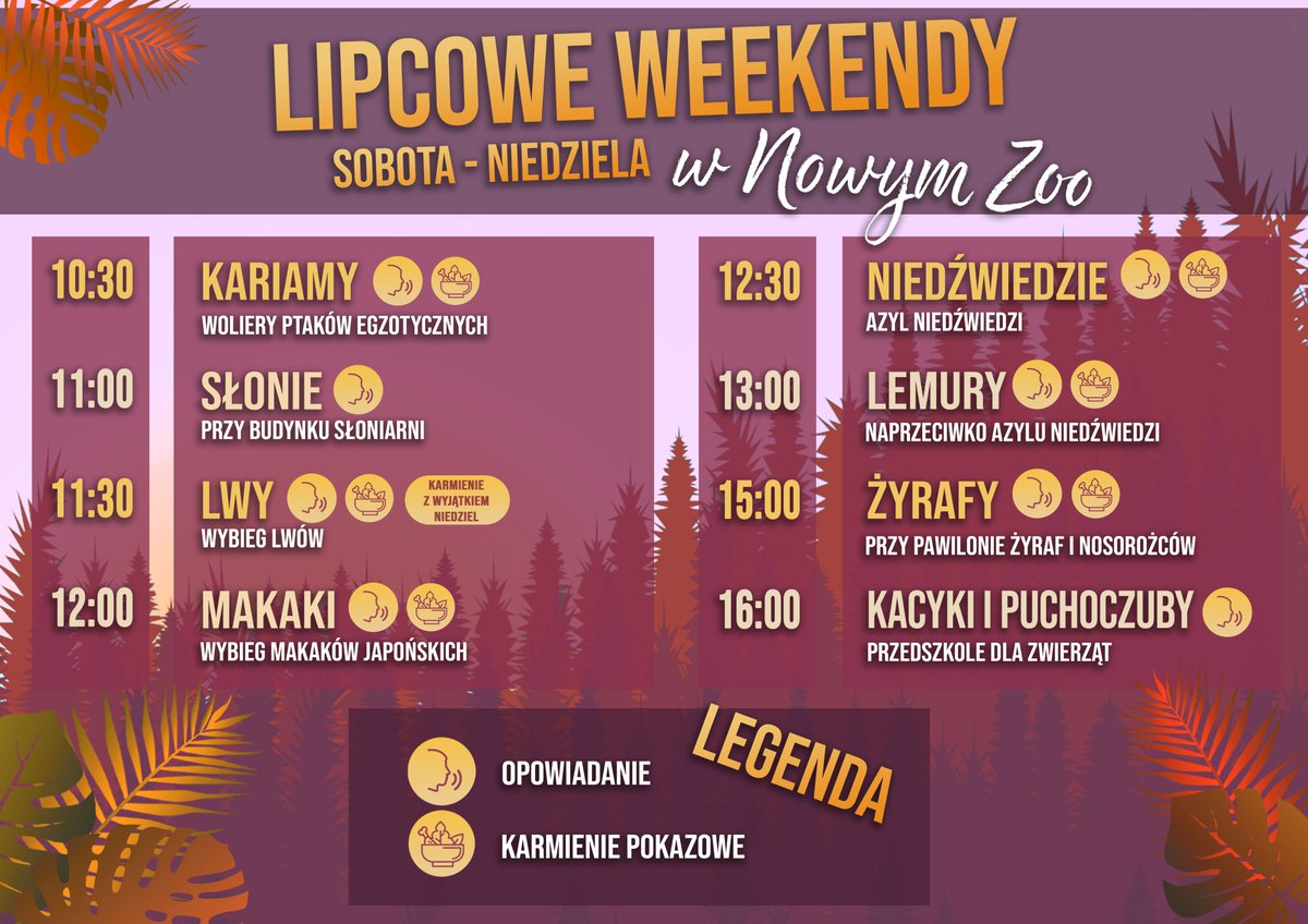 Spotkania z mieszkańcami Nowego ZOO w każdy lipcowy weekend: 10.30 - kariamy, 11.00 - słonie, 11.30 - lwy, 12.00 - makaki, 12.30 - niedźwiedzie, 13.00 - lemury, 15.00 - żyrafy, 16.00 - kacyki i puchoczub. Zapraszamy. #Zoo #Poznań #zwierzęta