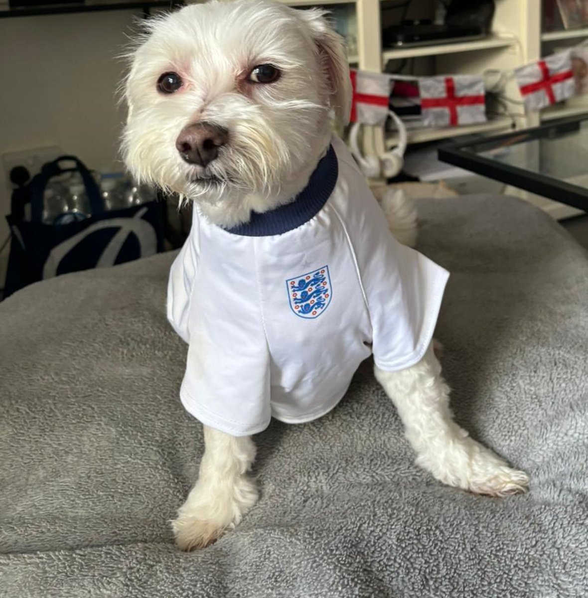 OriginalGidman tweet media