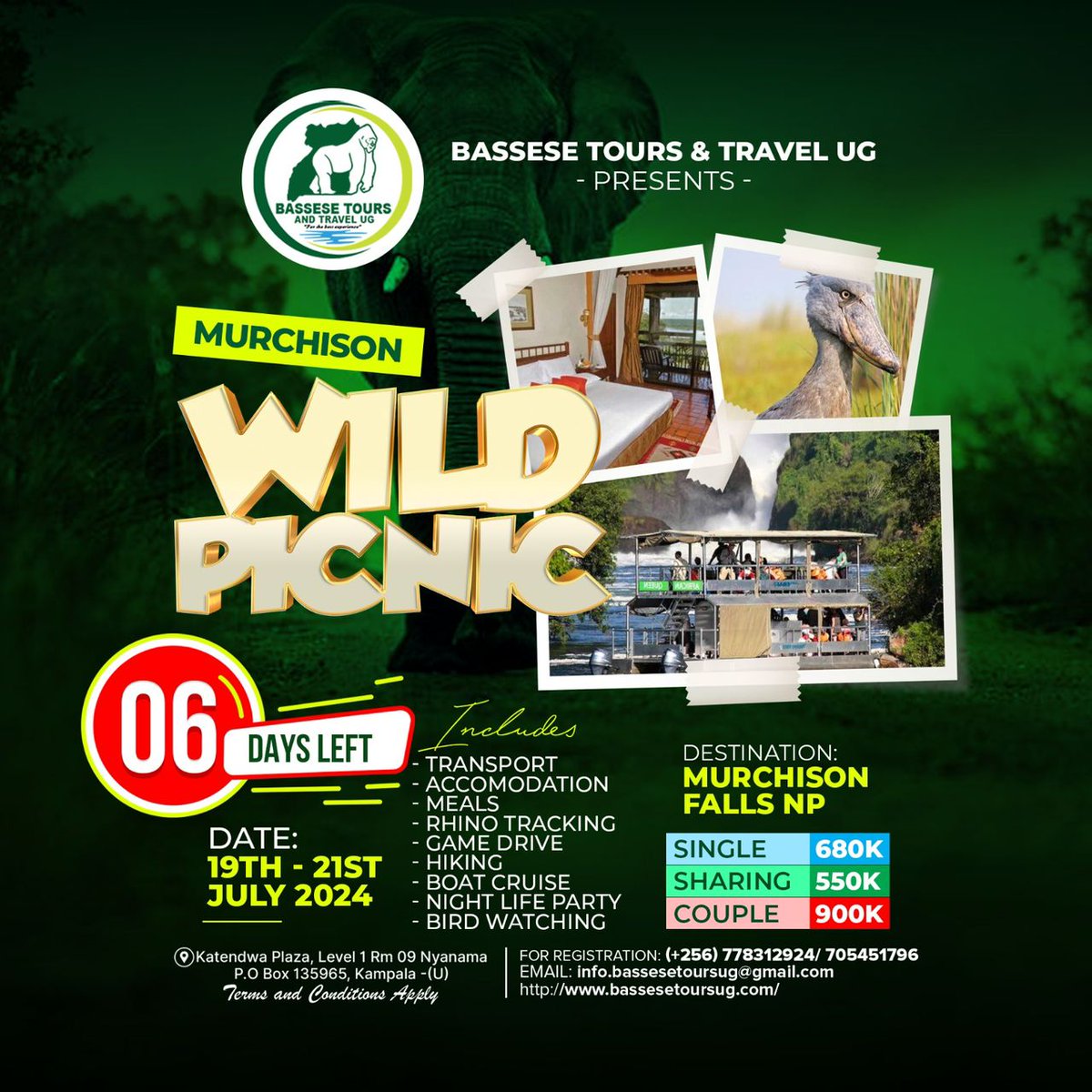 emmamwanje10's tweet image. @BasseseToursug is Excited To Get Back On The Road,
With Another Trip To Murchison Falls NP

Tell A Friend To Tell A Friend. 

Theme: #MurchisonWildPicNic
Date: 19th - 21th July 2024

Bookings:
(+256) 778 312 924 Office Line 
(+256) 705 451 796 Whatsapp 

#ForTheBestExperience