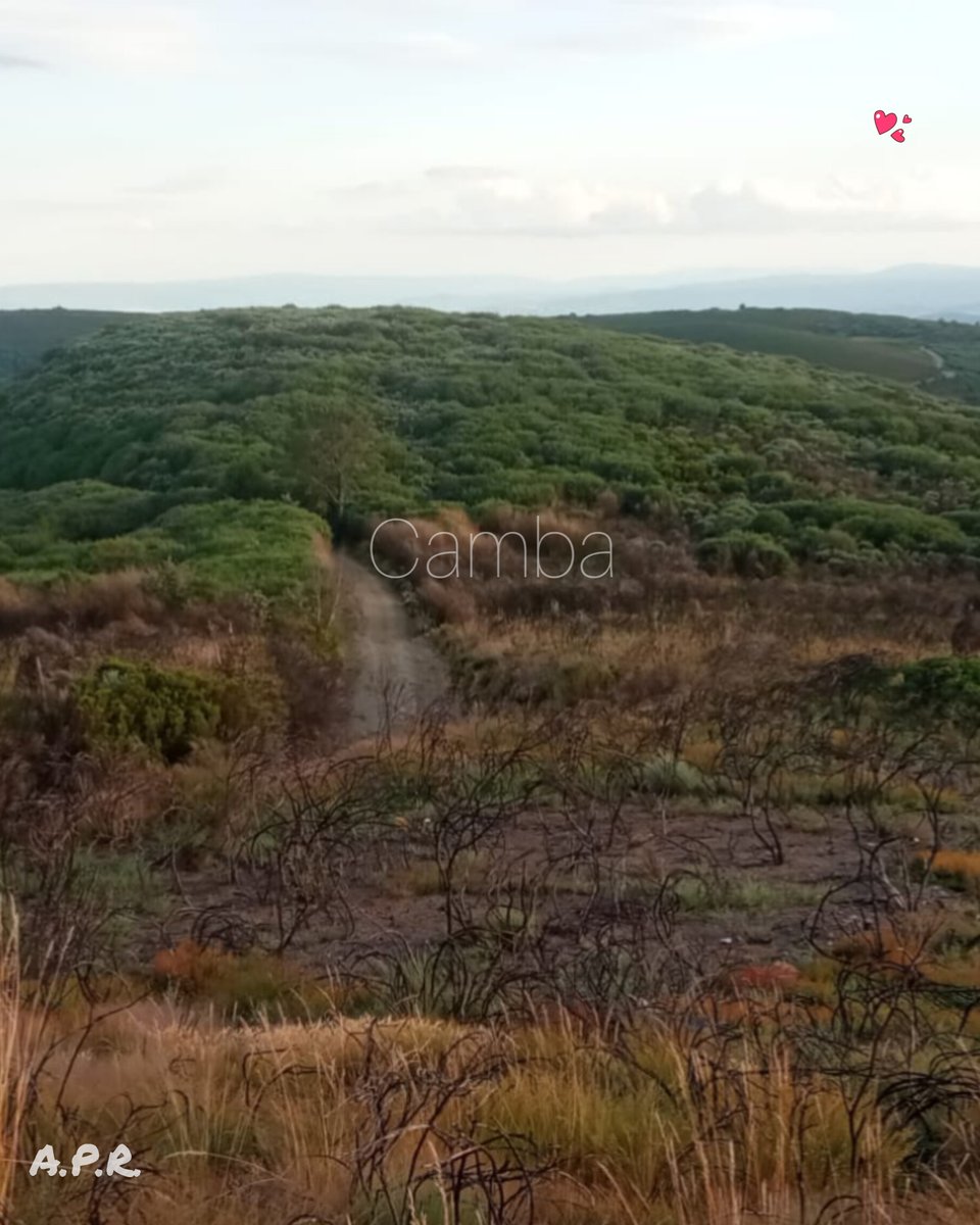 pueblodecamba's tweet photo. Un corazón entre montañas y colinas...  
#cambaelpequeñoparaiso
#salvemosomonte #soydepueblo #parati #verano #sommer #καλοκαίρι #estate #summer ＃夏 #été #קַיִץ #verão #літо #aestas #somero #montaña #berg #βουνό #montagna #mountain ＃山 #montagne #הַר #montanha #гора #mons #monto https://t.co/g2RFGPLSDl