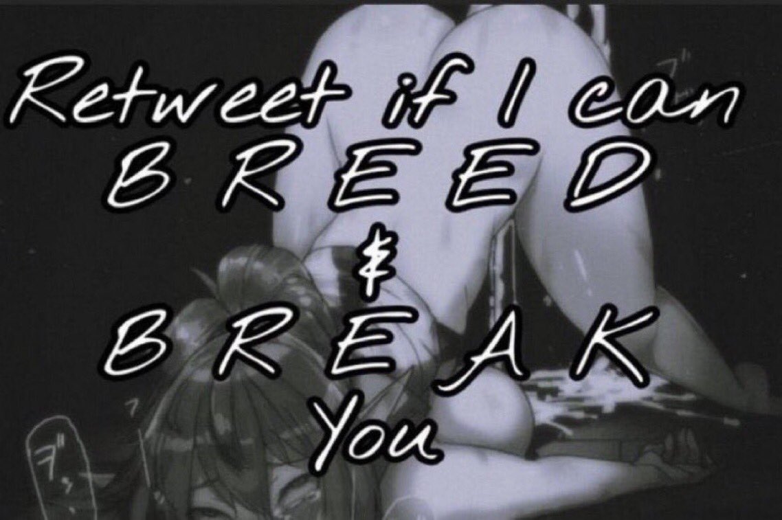 𝘾𝙝𝙚𝙬𝙗𝙖𝙘𝙘𝙖. tweet media