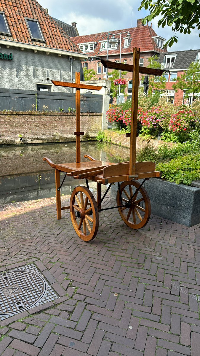 Seb 🌻 tweet media