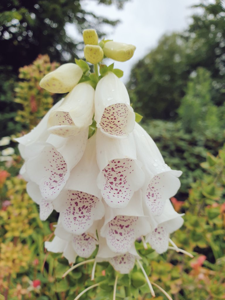 Dr Mercy Ette tweet media