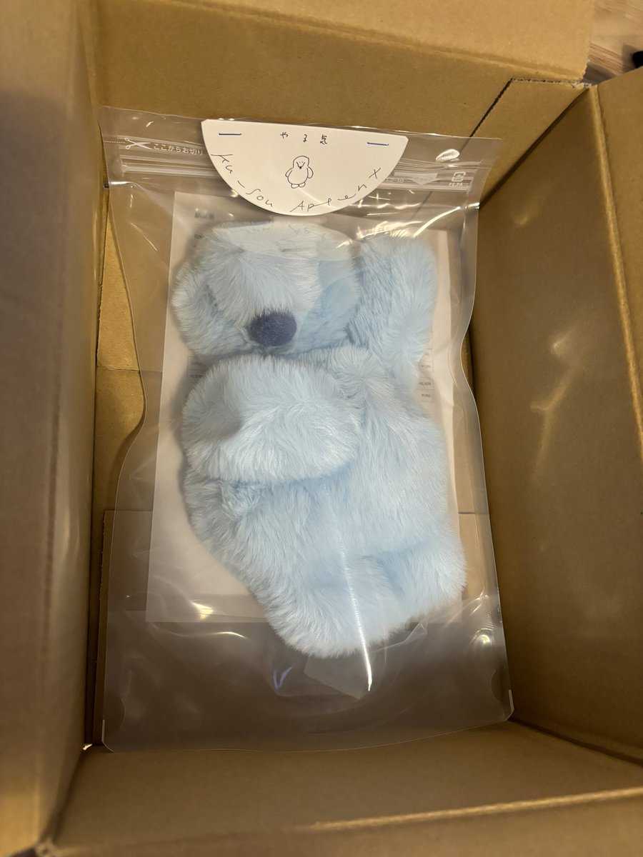 02marub's tweet photo. 箱を開けたら「シェー！！」ってしてたやる気さん！見た目以上にふわっふわっでずっと触ってたくなる触り心地🤤💞 さっそく2人でカバンの中に忍び込んでた、かわいい🥰 https://t.co/FEsEClnxte