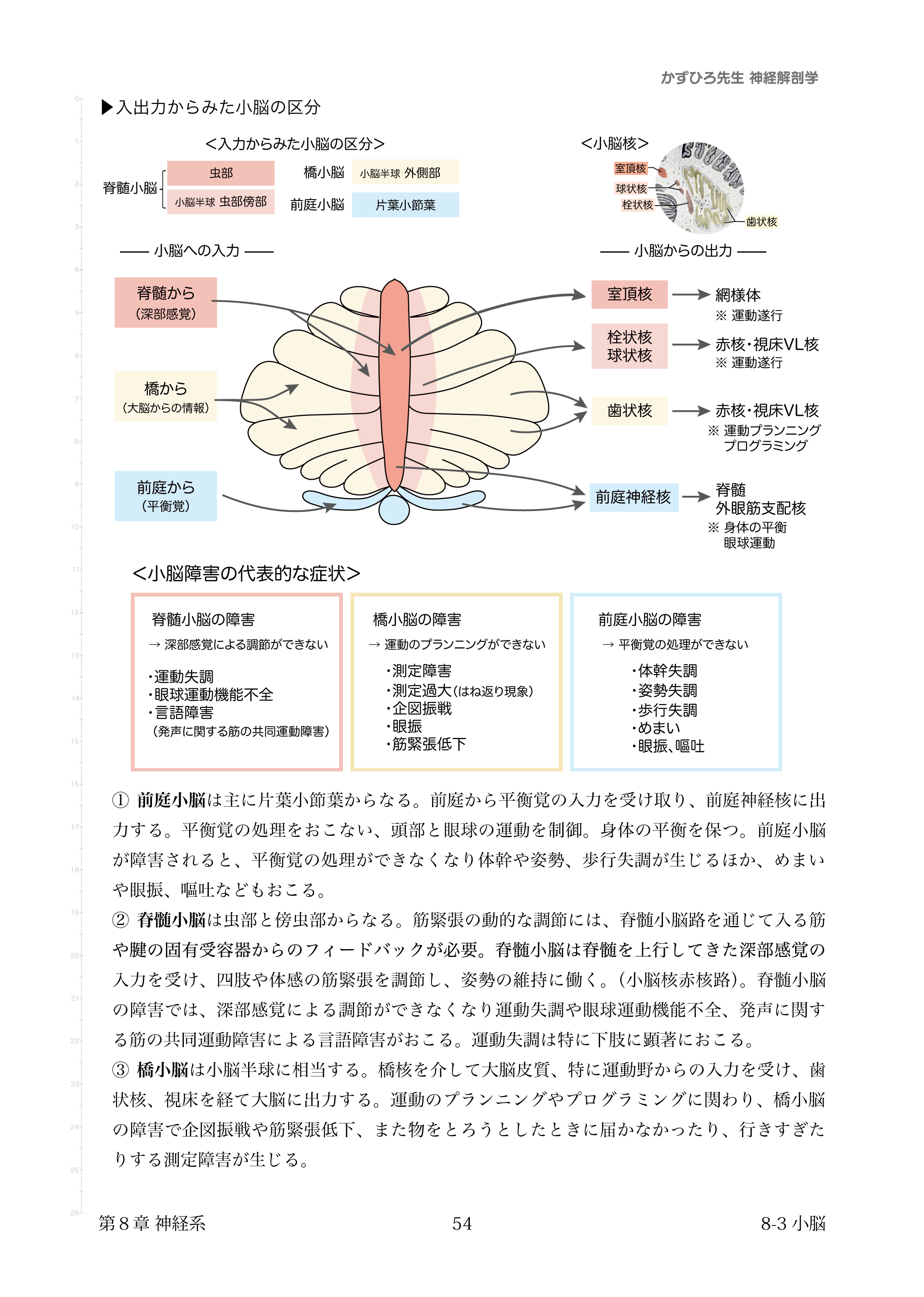 黒澤一弘（かずひろ）解剖学IT教育・指圧師・ラダック on X
