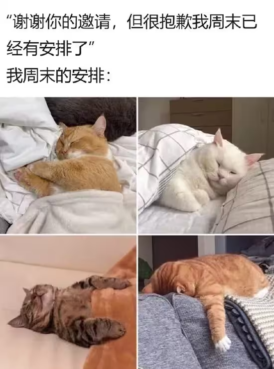 YunJiu's tweet photo. 你好 周末 https://t.co/C31RKvVJYJ