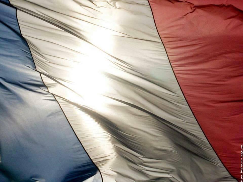 HeraklesCithare's tweet photo. Belle fête nationale à tous et vive la France 🇫🇷 https://t.co/avMoHwk90E