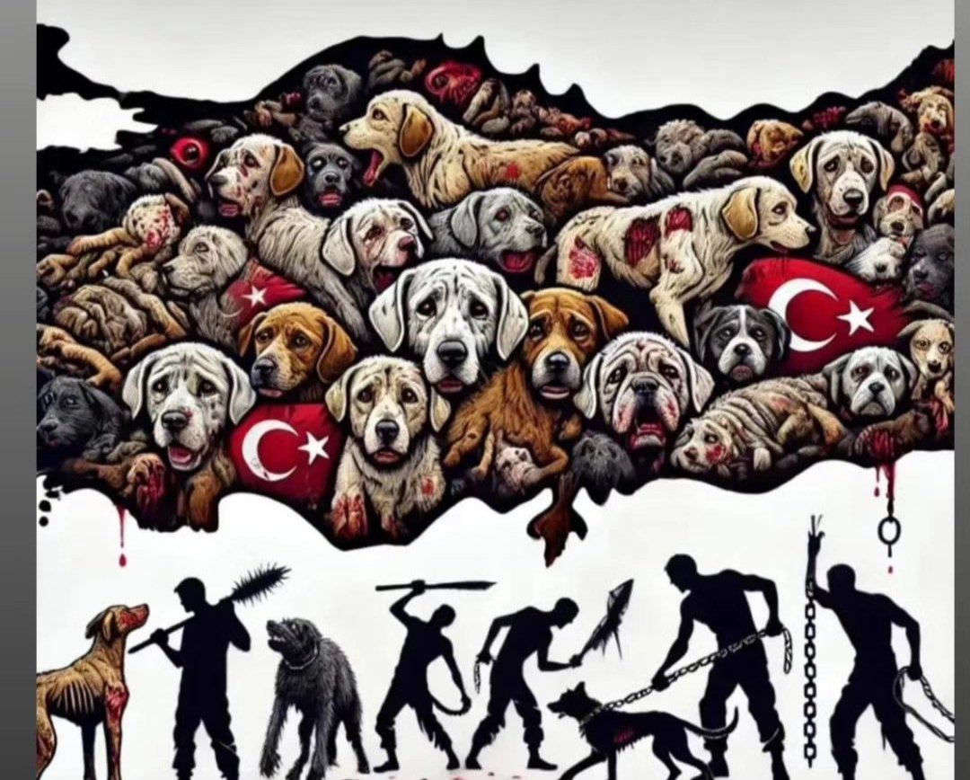 #YasayıGeriÇek