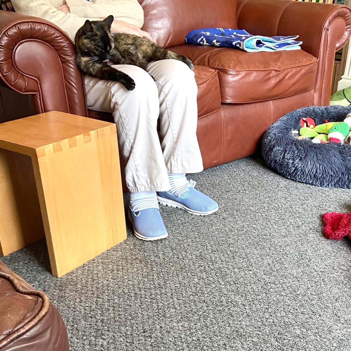 MelvisMakes's tweet photo. @sarahmichellekk A lady answered and I explained I had B’s mother here &amp; the situation and she says “well, I don’t know what she expects B to do about it” 🤣 thankfully she also told me her MIL had Green Flag recovery 😅 … my dog &amp; cat kept her company while she waited to be saved 2/2 https://t.co/3vmhaLcZEj