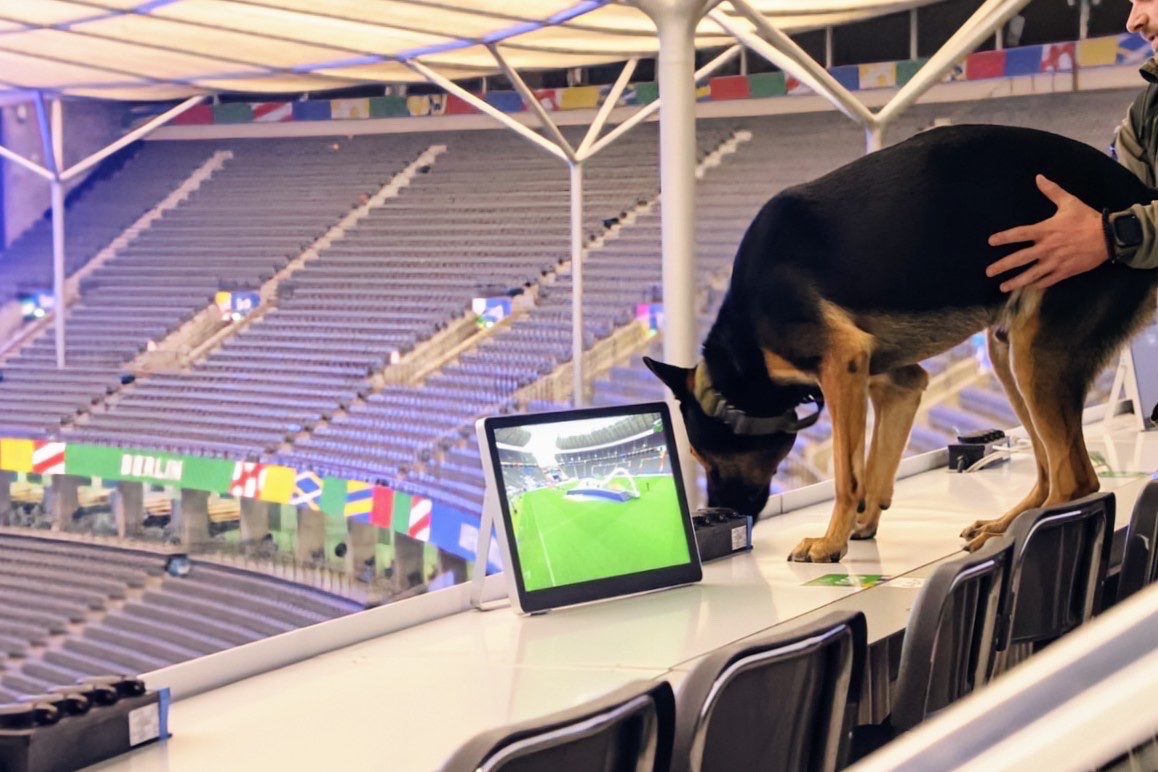 #Amtshilfe der Bundeswehr bei #EURO2024 - Unsere #Militärpolizei hat die <a href="/polizeiberlin/">Polizei Berlin</a> unterstützt. Sie haben mit Diensthundeteams das Olympiastadion nach Sprengstoff durchsucht. Alles sicher! Damit beim EM-Finale 🇪🇸🏴󠁧󠁢󠁥󠁮󠁧󠁿 alles gut verläuft. #Feldjäger #UEFAEURO #ESPENG #ESP #ENG