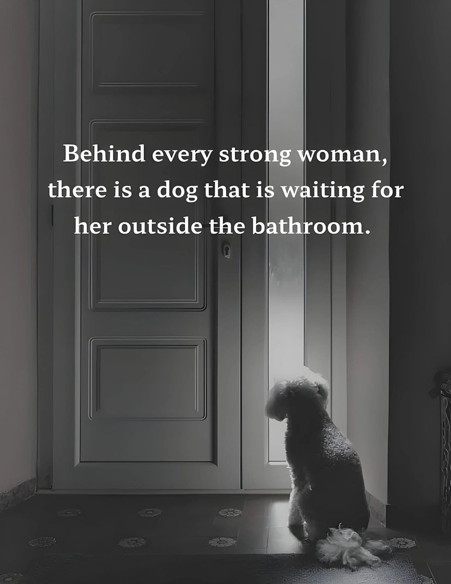 Beyond The Leash (@beyond_theleash) on Twitter photo 