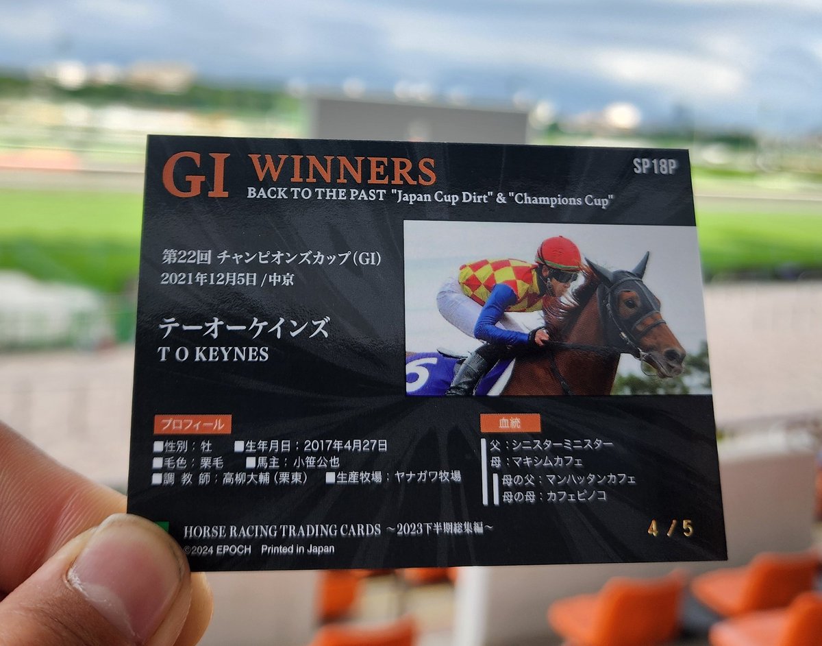 松山弘平】ホースレーシングトレーディングカード〜2024年上半期総集編