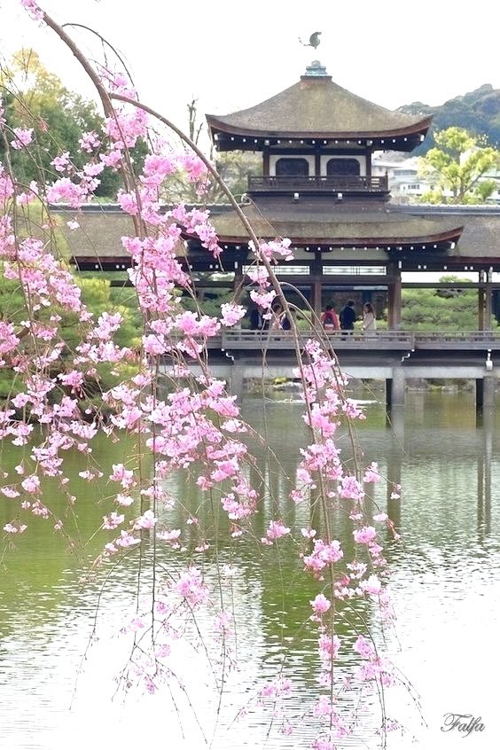 mjesusgz's tweet image. Japan 🍃🌸🍃
#japan #naturelover #photography #X #travel #destination #summer #scenery