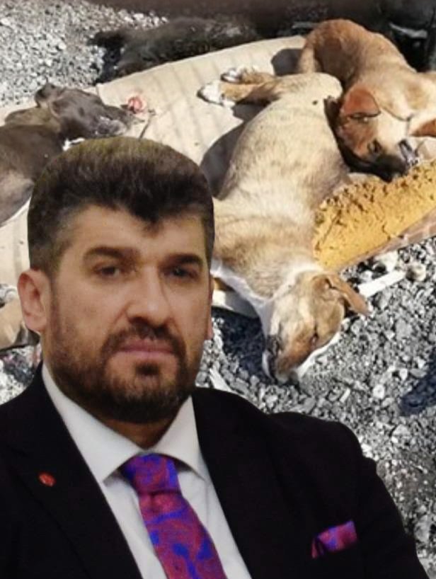 cenkerenonline tweet picture