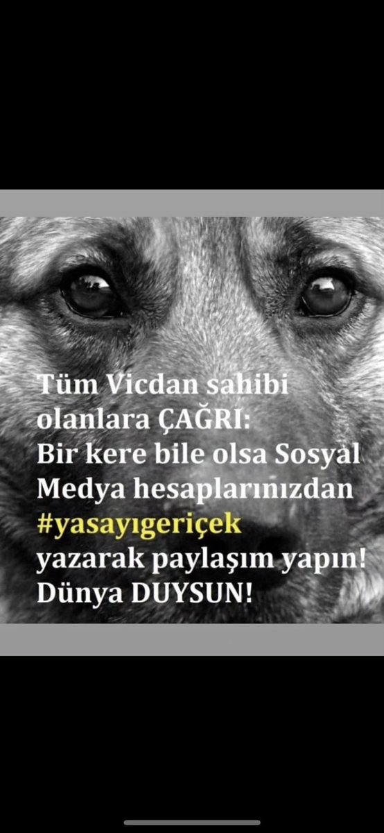 demircanan21's tweet photo. #YasayiGeriÇek https://t.co/nkL8FlWZmj