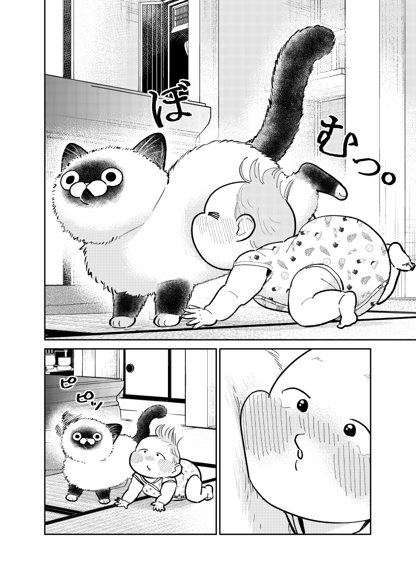 無敵と思われた猫に天敵が現れた話。

(3/4)

#漫画が読めるハッシュダグ
#猫にカチ込まれる暮らし 