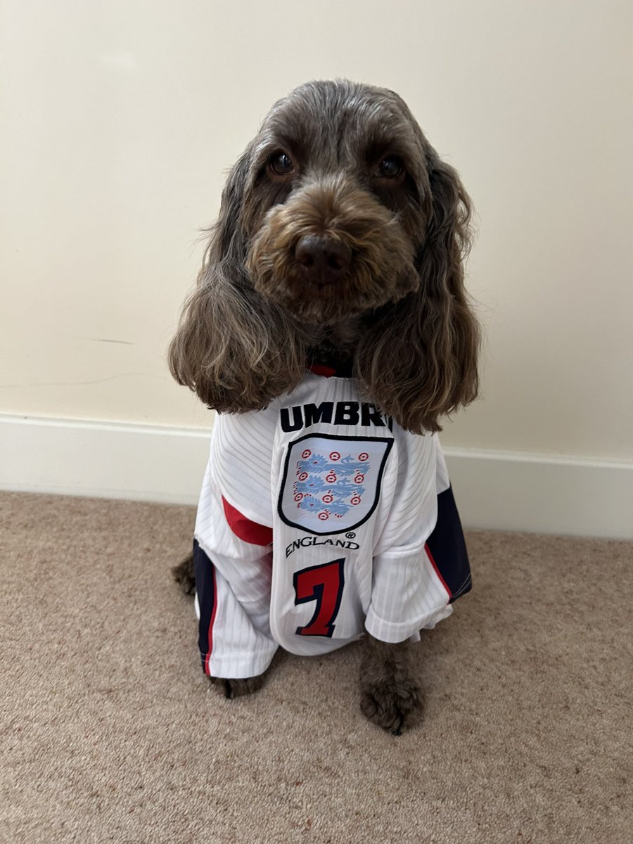 WBALesley's tweet photo. #ssnthreelions #EnglandEuro2024 #EnglandSpain https://t.co/FSC0aX9mdU