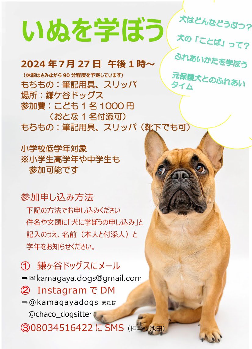 kamagayadogs's tweet photo. 犬の勉強会を開催します。
対象は小学生低学年ですが、中学生も高校生も大人も参加可能です。
質問も受け付けてますので、是非ご参加ください😊
XのDMでも受け付���ていますよ💪
よろしくお願いします。

#鎌ケ谷ドッグス
#犬 #犬のイベント #犬の勉強会 https://t.co/Yayz5SHxdO