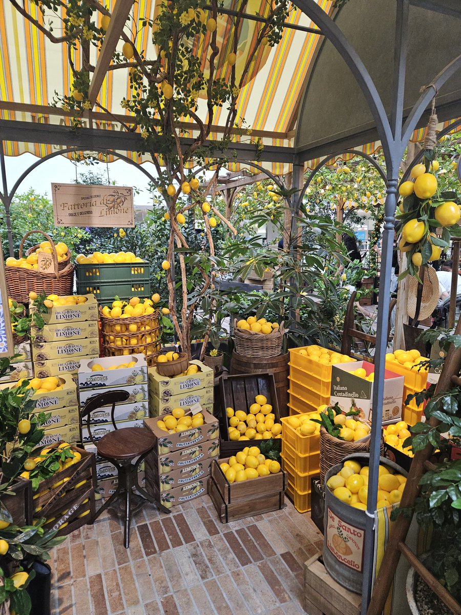 더현대🍋
#일상계_트친소
#일상계_𝕏친소