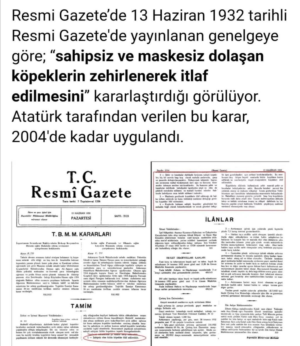 Ömür Şanlı tweet media