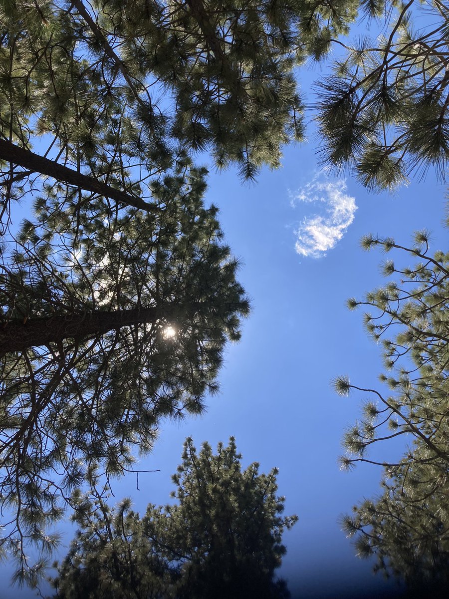 The sky is the limit!  #screenwriters