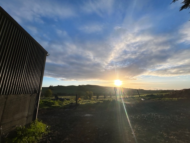 The UCD Agri Mental Health Group is a research grouping of academics and researchers from the UCD Schools of Agriculture and Food Science and Psychology who focus on research addressing the unique mental health challenges faced by individuals in the agricultural sector.