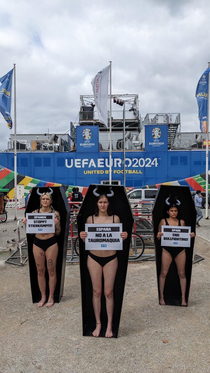 domdyer70's tweet photo. Well done @peta in using Spain’s place in Euro 2024 to focus on the continued horror of bull fighting @EURO2024 #EURO2024 https://t.co/Pe85c9pmL6