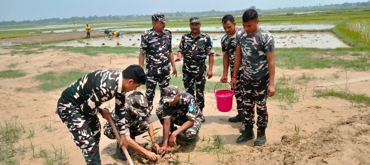20BnSSB_INDIA's tweet photo. In the Ongoing Plantation Drive .Deputy Commandant Sh. O. Shobha Singh Planted Saplings for future in Balua village, under the AoR of 20 BN SSB Sitamarhi. The initiative aimed to raise awareness about the importance of planting trees and promote a greener environment. #20BNSSB https://t.co/PlogEnIDsb