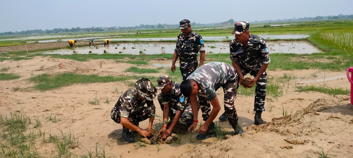 20BnSSB_INDIA's tweet photo. In the Ongoing Plantation Drive .Deputy Commandant Sh. O. Shobha Singh Planted Saplings for future in Balua village, under the AoR of 20 BN SSB Sitamarhi. The initiative aimed to raise awareness about the importance of planting trees and promote a greener environment. #20BNSSB https://t.co/PlogEnIDsb