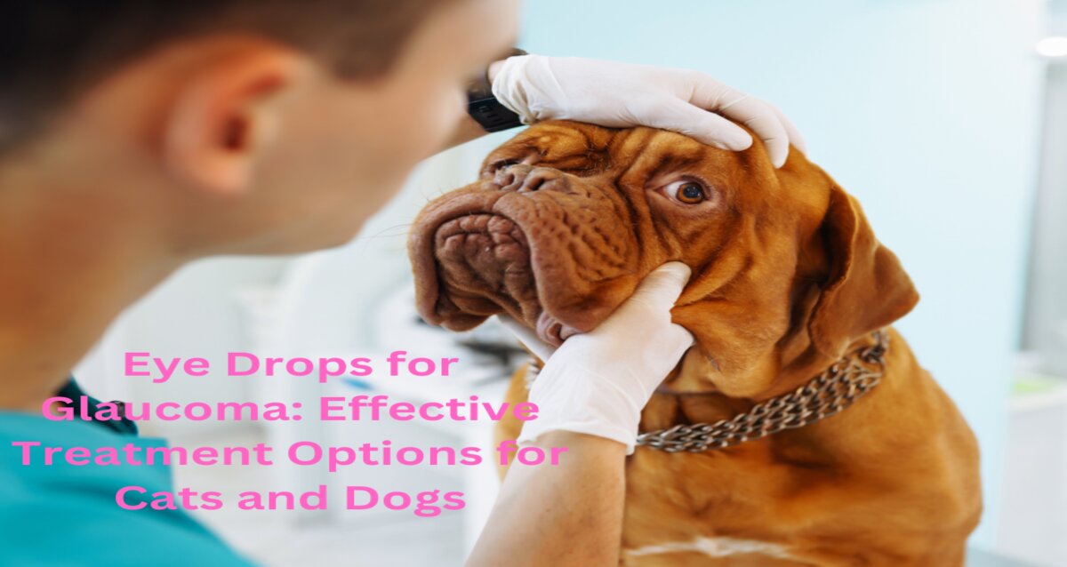 Dock Pharmacy tweet media