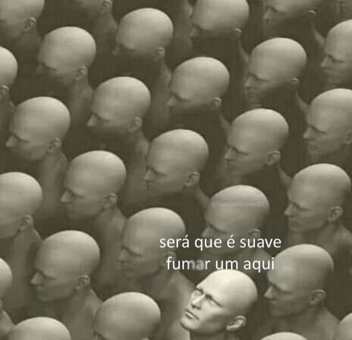 É a lombra🔥 tweet media