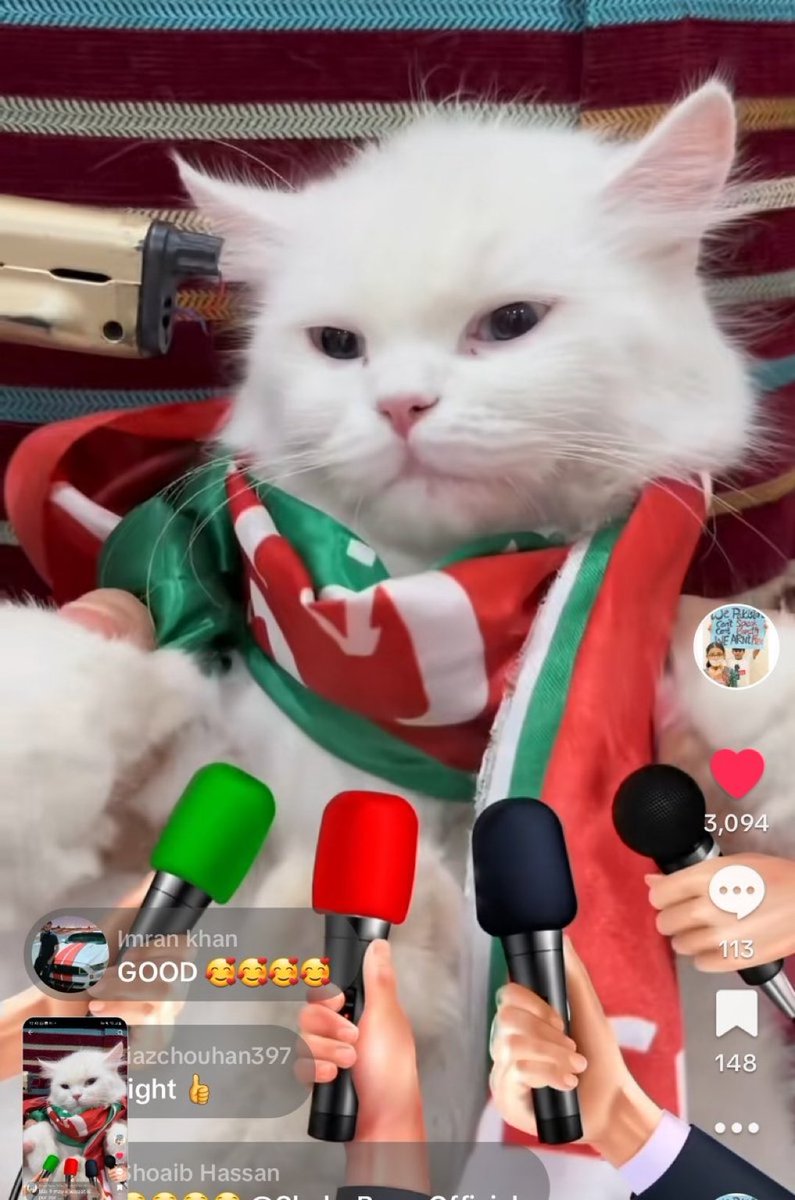 Olivefields18's tweet image. 