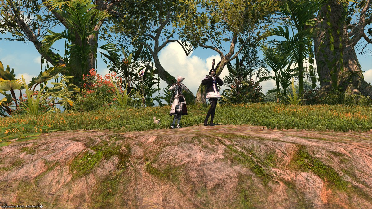 ohgoditsranor's tweet image. Cute little heart tree gpose spot in Yak'tel. @ 24.6, 23.7 location. If you line the trees up real well, it looks like a heart.

They're like two trees that when you angle it just right, it lines up. That's cute!