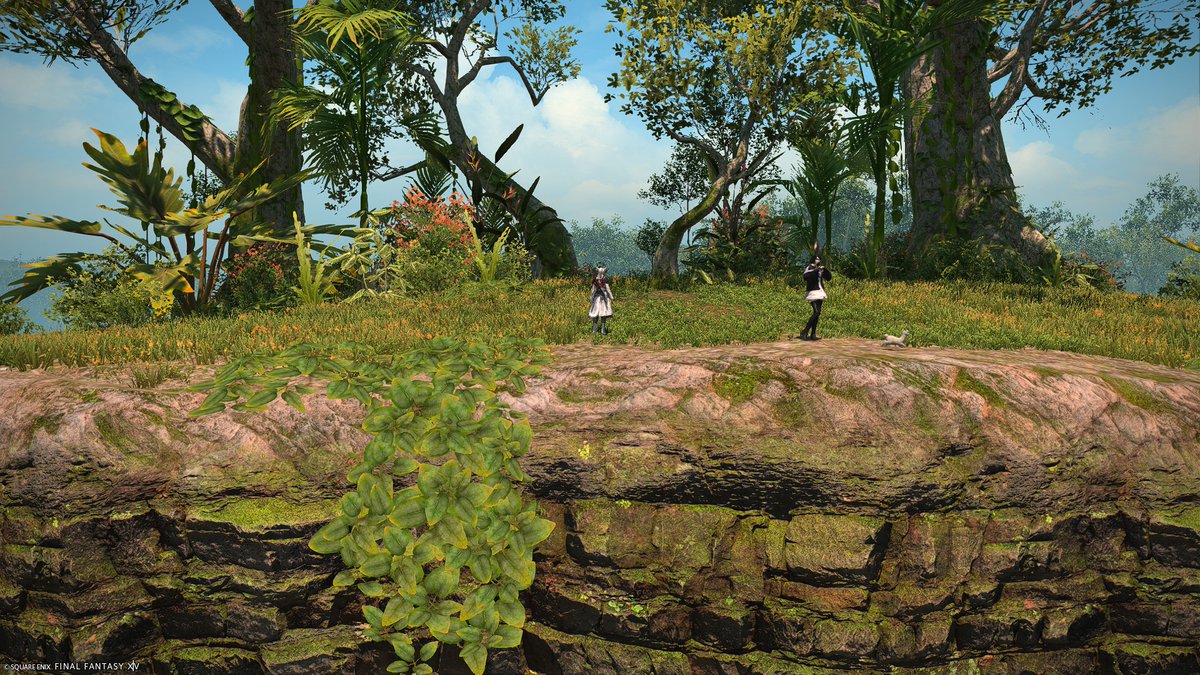 ohgoditsranor's tweet image. Cute little heart tree gpose spot in Yak'tel. @ 24.6, 23.7 location. If you line the trees up real well, it looks like a heart.

They're like two trees that when you angle it just right, it lines up. That's cute!