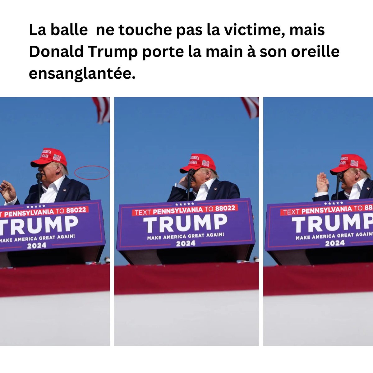 Prof. Fabrizio Bucella tweet media