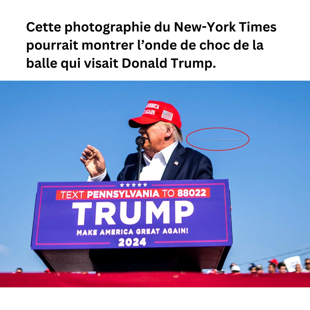 Prof. Fabrizio Bucella tweet media