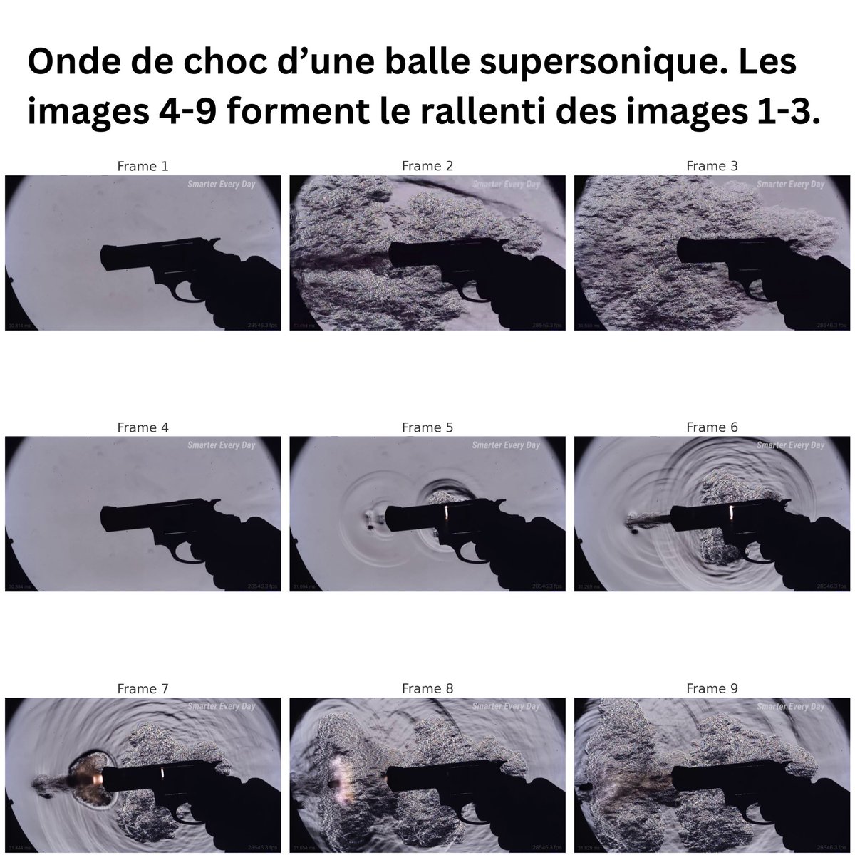 Prof. Fabrizio Bucella tweet media